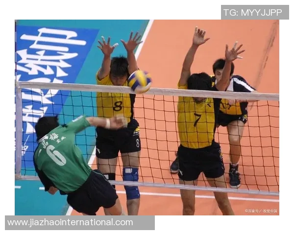 上海排球队选拔赛表现分析团队协作的重要性与提升建议